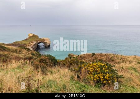 Neuseeland, Ozeanien, Südinsel, Otago, Dunedin, Sandsteinfelsen am Tunnel Beach Stockfoto