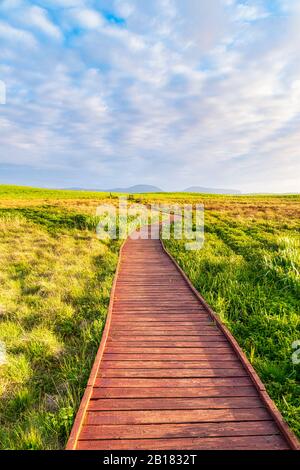 Schottland, Orkney, Festland, Loch of Harray, Naturreservat Boardwalk Stockfoto