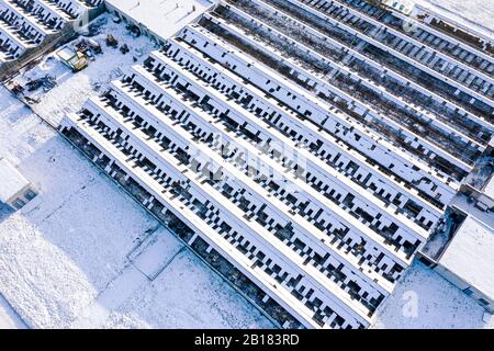 Verlassenes langes Gewächshaus während der Wintersaison mit Glasbruch, Blick auf die Vögel Stockfoto