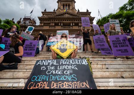 Sydney, Australien - 22. Februar 2020 - Schätzungsweise 6000 australische Demonstranten versammeln sich in der Sydney Town Hall in einer riesigen Protestkundgebung zum Klimawandel. Stockfoto