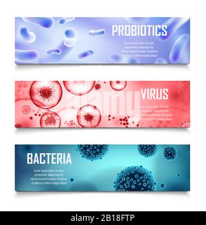 Bakterien, Probiotika und Viren gestalten die Zellanzeige. Realistische Salmonellen, Lactobacillus 3d-Abbildung. Viren- und Bakterienmikrobeninfektion medizinisch Stock Vektor
