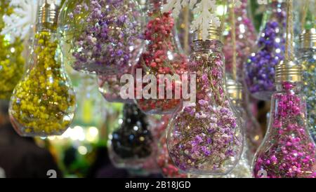 Kleine getrocknete Blumen in Glühbirnen geformte hängende Verzierungen als Dekorationen. Stockfoto