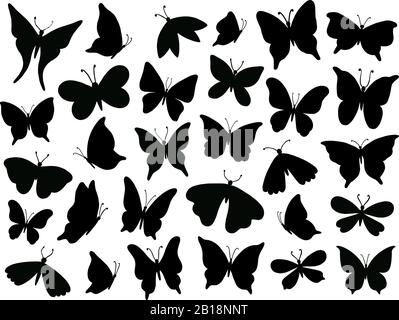 Papillon Silhouette. Mariposa-Schmetterlingsflügel, Mottenflügler Silhouetten und Frühlingsblumen-Schmetterlinge isolierten Vektorgrafiksatz Stock Vektor