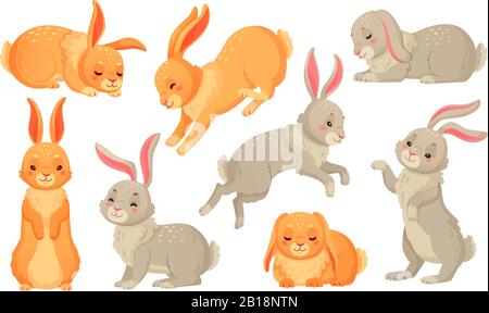 Cartoon bunny. Kaninchen Haustiere, osterhasen und Plüsch kleine Kaninchen Haustier isoliert Vektor Illustration Set Stock Vektor