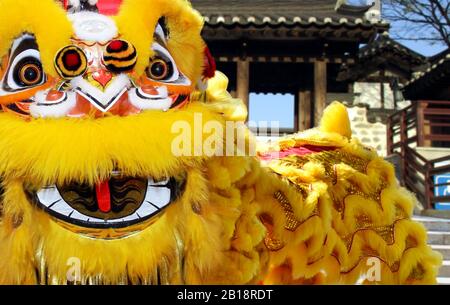 Chinesische Löwen tanzen während der chinesischen Neujahrsfeier Stockfoto