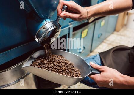 Frau, die Kaffee Bohnen aus dem Speicher Stockfoto