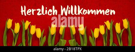 Baner Der Gelben Tulpenblumen, Roter Hintergrund, Willkommen-Mittel Willkommen Stockfoto