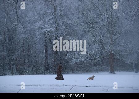 Eine Frau läuft in Bedale, North Yorkshire, einen Hund unter schneebedeckten Bedingungen, nachdem über Nacht Schnee Teile des Vereinigten Königreichs getroffen hat. Stockfoto