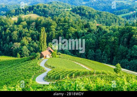 Berühmte Herzförmige Weinstraße in Slowenien. Stockfoto