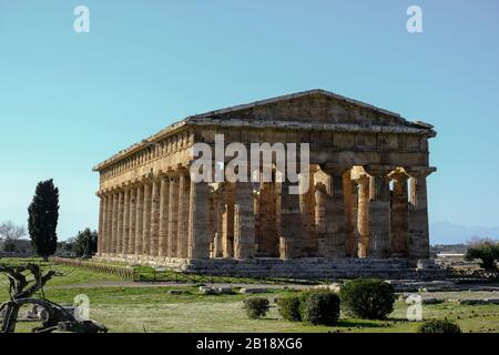 Neptun nettuno hera Tempel auf der archäologischen griechischen Stätte Paestum in süditalien Stockfoto