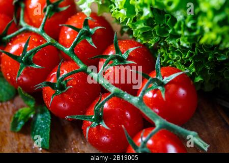 Zutaten zum Kochen. Rote helle frische Tomaten in Wassertropfen, Minzseite und Salat auf einem braunen Holztisch. Stockfoto