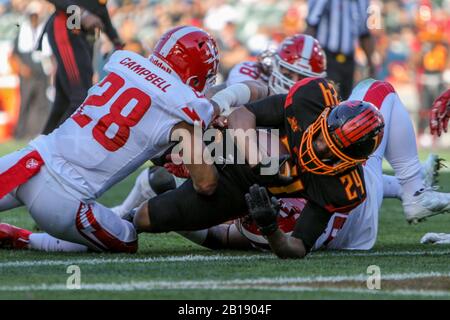 Carson, Kalifornien, USA. Februar 2020. 24 Larry Rose Touchdown während der LA Wildcats gegen DC Defenders am 23. Februar 2020 Credit: Dalton Hamm/ZUMA Wire/Alamy Live News Stockfoto