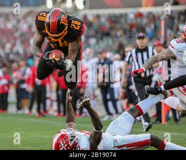 Carson, Kalifornien, USA. Februar 2020. 28 Martez Carter Touchdown Während der LA Wildcats gegen DC Defenders am 23. Februar 2020 Credit: Dalton Hamm/ZUMA Wire/Alamy Live News Stockfoto