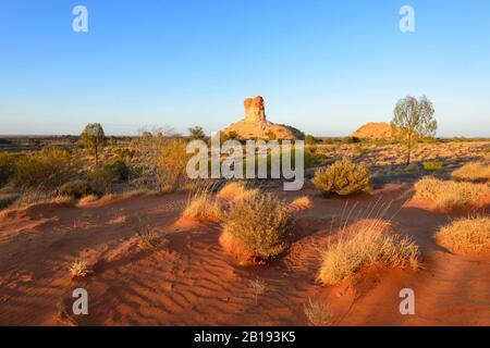 Blick auf das australische Outback im goldenen Morgenlicht bei Chambers Pillar, Northern Territory, NT, Australien Stockfoto