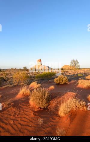 Vertikaler Blick auf das australische Outback im goldenen Morgenlicht bei Chambers Pillar, Northern Territory, NT, Australien Stockfoto