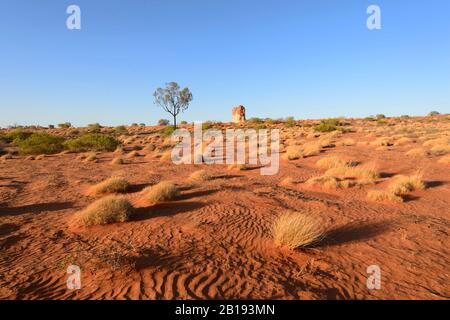 Blick auf den ariden australischen Outback rund um Chambers Pillar, Northern Territory, NT, Australien Stockfoto