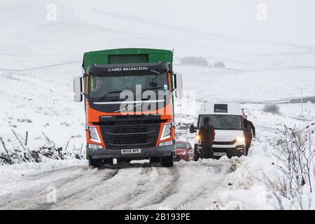 Wensleydale, North Yorkshire, Großbritannien. Februar 2020. Wagen mit Evestock-Futter auf dem Weg durch den Schnee, Wensleydale, North Yorkshire, Großbritannien. Kredit: Wayne HUTCHINSON/Alamy Live News Credit: Wayne HUTCHINSON/Alamy Live News Stockfoto