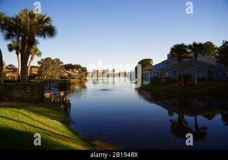 Blick auf den Vorortbezirk mit Teich und Palmen. Florida, USA Stockfoto