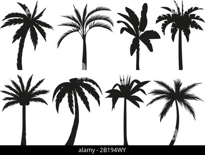 Silhouetten von Palmen. Tropische Blätter, Retro-Palmen-Baum und Vintage-Silhouetten Vektorgrafiken Stock Vektor