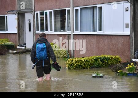 Ein Mann untersucht das Hochwasser in der Berwick Road, Shrewsbury, in der Nähe des River Severn, da Warnungen vor weiteren Überschwemmungen in ganz Großbritannien ausgegeben werden. Stockfoto