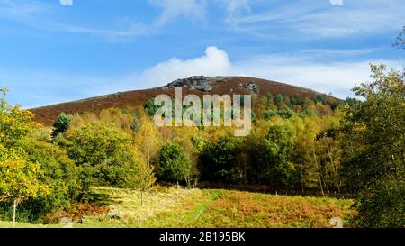 Landschaftlich schöner Blick (Herbstfarben, steile sonnenbeleuchtete Fells oder Moore, Gipfel von High Hill & Crag, blauer Himmel) - Bolton Abbey, North Yorkshire, England, Großbritannien. Stockfoto