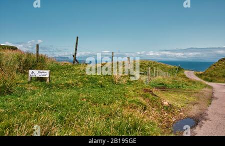 Vorsicht Bauernhof Vieh und junge Warnschild über dem Atlantik auf der abgelegenen Ardnamurchan Halbinsel, Lochaber, Highland, Schottland Stockfoto