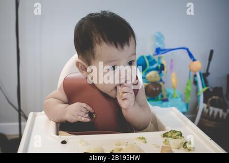 Asiatischer Baby-Junge, der Karotte auf dem Hochstuhl isst. Baby ist 8 Monate alt. Kleiner Junge genießt Essenszeit. Stockfoto