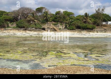 Ebbe am Diani Beach, der Küste des Indischen Ozeans. Kenia, Afrika Stockfoto