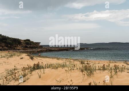 Putty Beach im Bouddi-Nationalpark an einem hellen Sommertag. Stockfoto