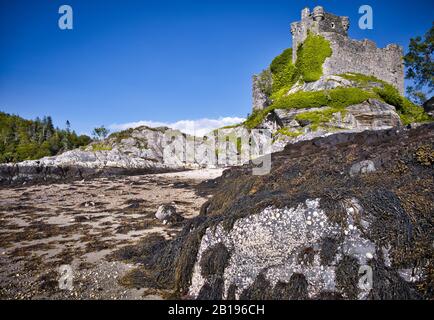 Die Ruinen des alten Schlosses Tioram thronten hoch auf dem Felsen der Gezeiteninsel Eilean Tioram, Loch Moidart, Lochaber, Highland, Schottland Stockfoto