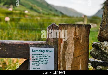 Warnschild für Hundebesitzer am Gate, Lake District, Cumbria, England Stockfoto