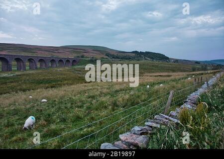 Ribblehead Viadukt, das die Settle-Carlisle Eisenbahnlinie über das Ribble Valley, Ribblehead, North Yorkshire, England führt Stockfoto