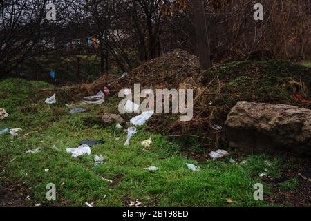 Einwegbeutel sind auf dem Boden verstreut. Müll im Wald. Das Problem der Verschmutzung von Kunststoffabfällen. Stockfoto