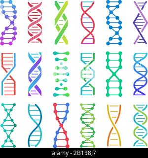 Buntes DNA-Symbol. ADN Strukturspirale, Desoxyribonukleinsäure medizinische Forschung und Humenbiologie Genetik Code Vektor-Symbole gesetzt Stock Vektor