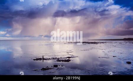 Wolken spiegeln sich im wattenmeer, Wierumerwad, Niederlande, Frisia Stockfoto