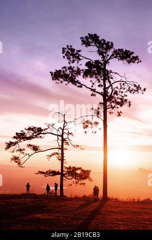 Okt 31, 2019 Loei, Thailand - Schöner, dramatischer Sonnenaufgang mit Silhouetten-Kiefern und Touristen an der Pha Nok-Klippe. Phu Kradueng National p Stockfoto