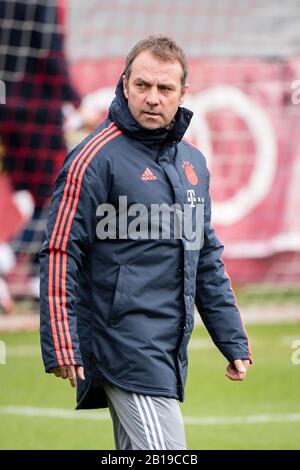 München, Deutschland. Februar 2020. Fußball: Champions League, FC Chelsea - Bayern München, Hinrunde sechzehn, Trainingseinheit FC Bayern im Vereinslokal an der Säbener Straße. Trainer Hansi Flick vom FC Bayern München spaziert über das Spielfeld. Credit: Matthias Balk / dpa / Alamy Live News Stockfoto