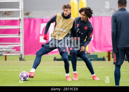 München, Deutschland. Februar 2020. Fußball: Champions League, FC Chelsea - Bayern München, Hinrunde sechzehn, Trainingseinheit FC Bayern im Vereinslokal an der Säbener Straße. Leon Goretzka (l) und Joshua Zirkzee vom FC Bayern München im Duell um den Ball. Credit: Matthias Balk / dpa / Alamy Live News Stockfoto