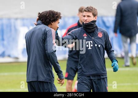 München, Deutschland. Februar 2020. Fußball: Champions League, FC Chelsea - Bayern München, Hinrunde sechzehn, Trainingseinheit FC Bayern im Vereinslokal an der Säbener Straße. Thomas Müller (r) und Joshua Zirkzee vom FC Bayern München scherzten im Training. Credit: Matthias Balk / dpa / Alamy Live News Stockfoto