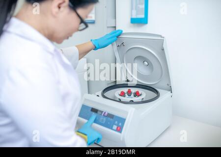 Techniker mit blauen Handschuhen, der die Abdeckung der Zentrifuge schließt Stockfoto