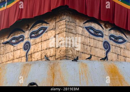 Swayambhunath Stupa, auch bekannt Als Monkey Temple, während des Sonnenaufgangs in Kathmandu, Nepal. Zum UNESCO-Weltkulturerbe. Alte Ruinen und Steintempel. Stockfoto