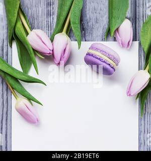 Frühlings-Rosa-Blumen Tulpen, violettes Makaron und weißes Blatt auf grauem Holzhintergrund. Draufsicht, Kopierbereich Stockfoto