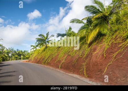 Schöne Straße in der Landschaft von Mauritius. Stockfoto