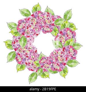 Grußkranz mit Blumenmuster und Blütendem rosafarbenem Hydrangea. Gartenblumen, botanische Naturhydrangea Illustration auf Weiß im Aquarellstil. Stockfoto