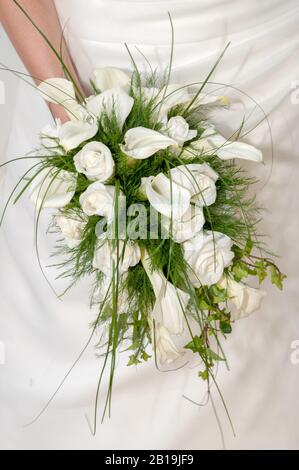 Bouquet von Calla Blumen und weißen Rosen. Zantedeschia aethiopica. Lilien. Buchten. Rosen. Stockfoto