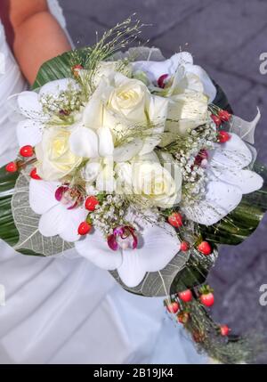 Schönes Bouquet von weißen Rosen mit Orchideen und roten Beeren von der Hand einer Braut an ihrem Hochzeitstag gehalten. Rosen, Orchidaceae. Stockfoto