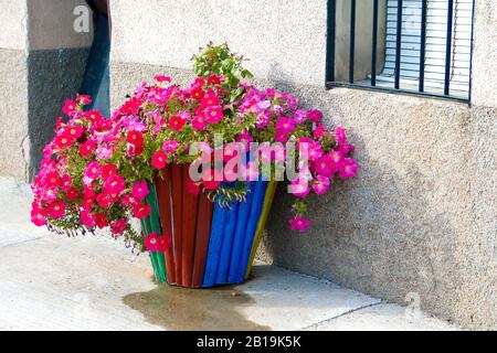 Holztoper mit einem Abfallkorb mit Petunien. Petunia × atkinsiana Surfinia. Recycling von Materialien. Stockfoto