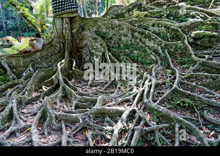 Gianyar, Bali Island, Indonesien. Mai 2019. Goa Gajah, die berühmte Touristenattraktion, ist eine bedeutende hinduistische archäologische Stätte. Stockfoto
