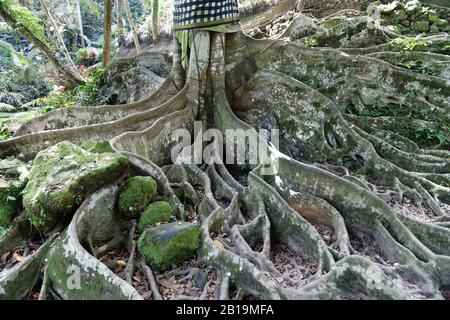 Gianyar, Bali Island, Indonesien. Mai 2019. Goa Gajah, die berühmte Touristenattraktion, ist eine bedeutende hinduistische archäologische Stätte. Stockfoto