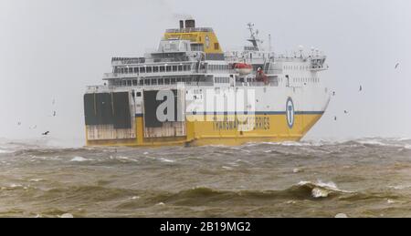 Newhaven, East Sussex, Großbritannien. Februar 2020. Cote D'Albatre Ferry, die den Hafen von Newhaven in Heavy Seas verlässt und die Südküste Großbritanniens weiter bekämpft. Credit: Alan Fraser/Alamy Live News Stockfoto